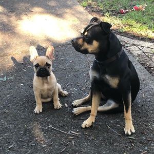 Meet your Posher, Raelene